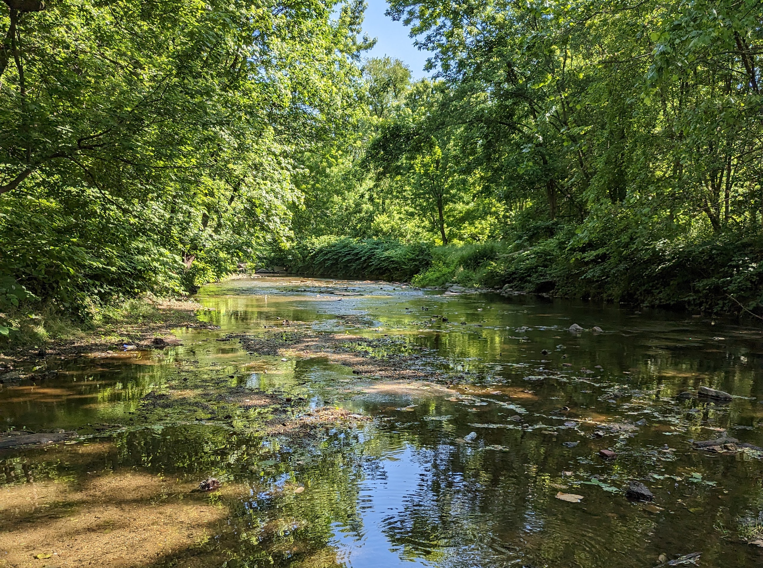 Cobbs Creek, Philadelphia, Pennsylvania | Lia Mastropolo