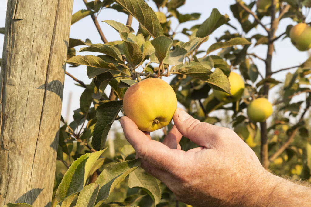 Yakima Basin | David Moskowitz