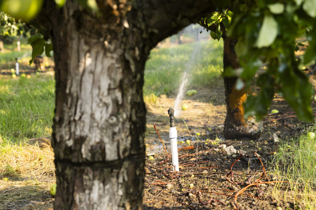 Yakima Basin | David Moskowitz