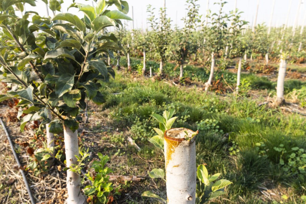 Yakima Basin | David Moskowitz