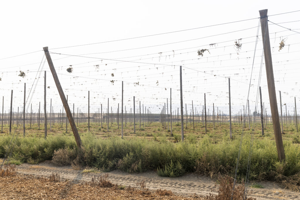 Yakima Basin | David Moskowitz