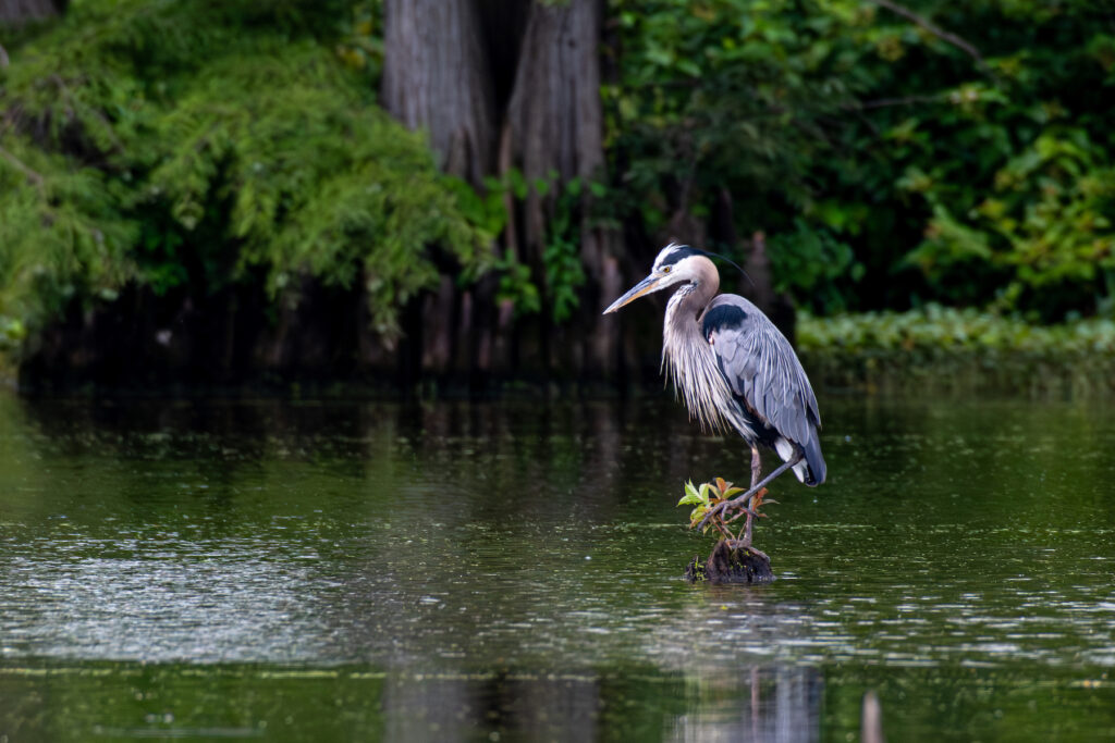 National and State Parks