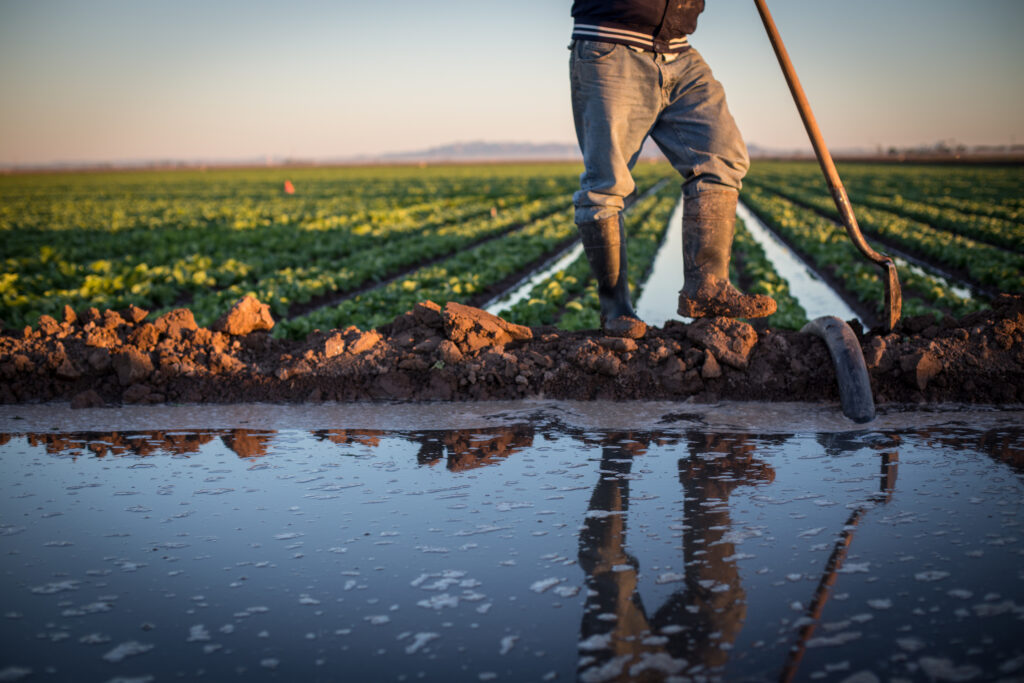 Lower Colorado River, Arizona | Amy Martin
