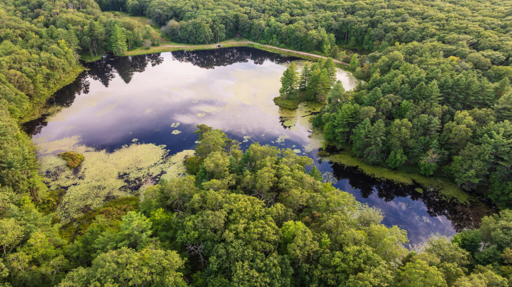 Vinica Pond in Wales, Massachusetts | Jerry Monkman, EcoPhotography