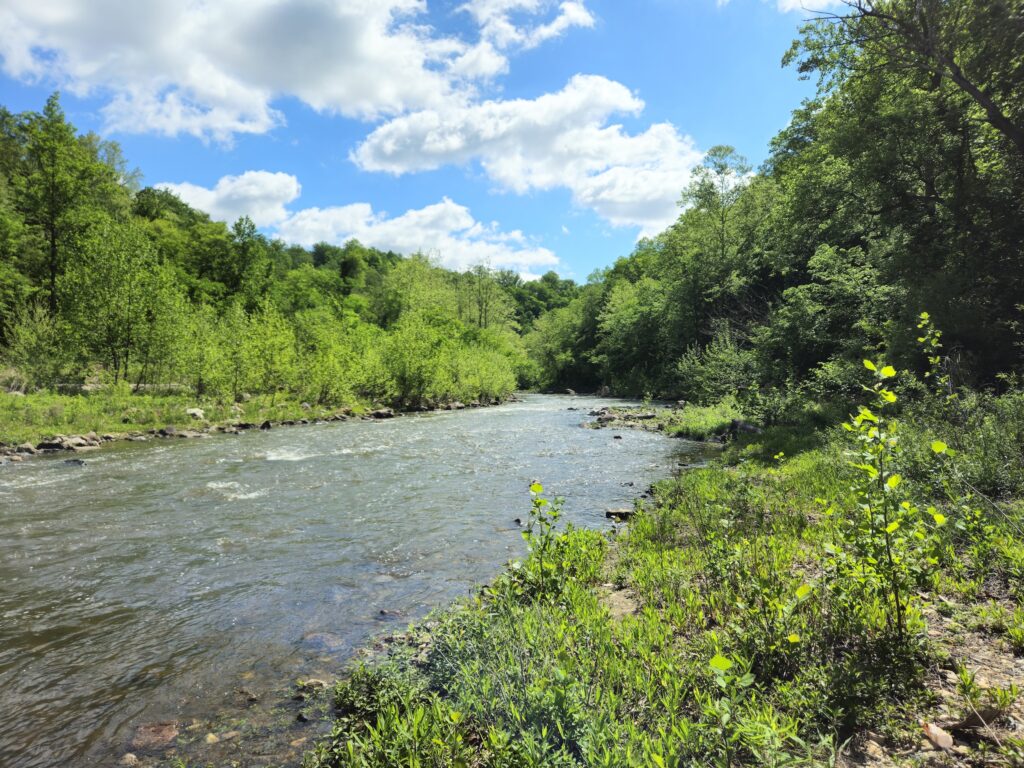 Former location of the Bloede Dam, Patapsco River, Maryland | Jesse Thomas-Blate