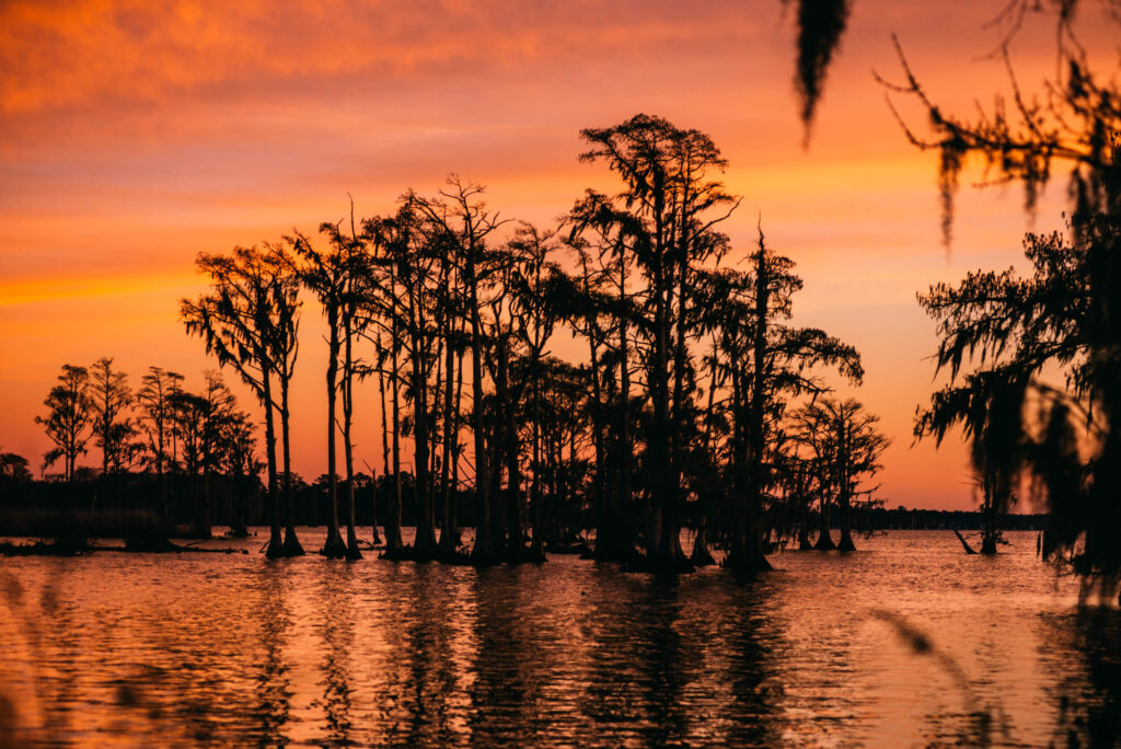 Neuse River, North Carolina | Zach Frailey