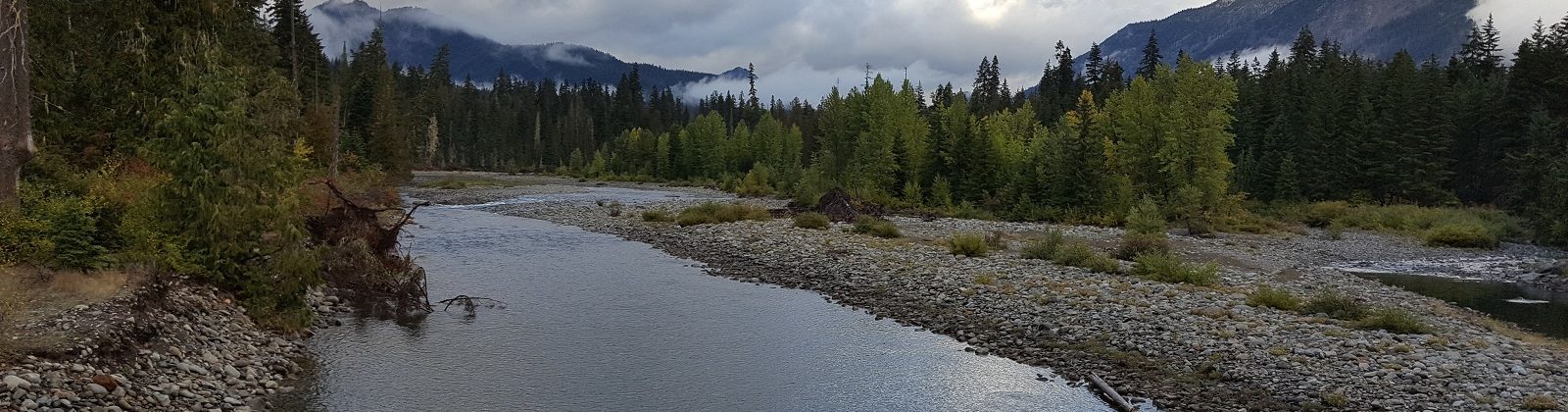 A healthy, connected floodplain on the Cooper River in the Central Cascades of WA | Jonathon Loos