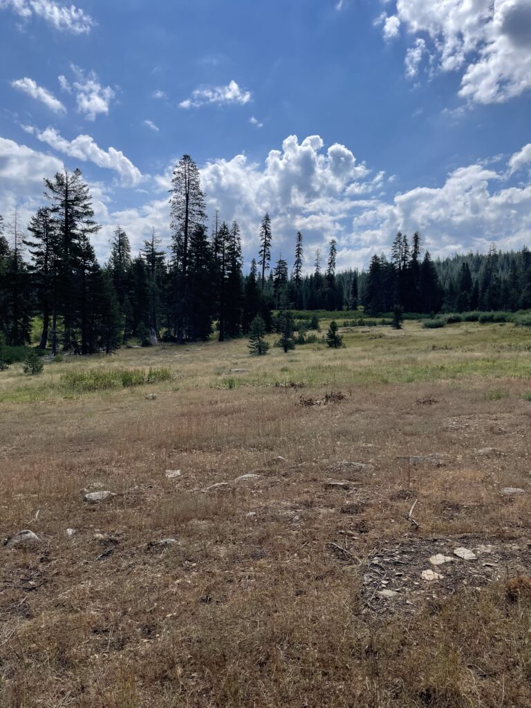 North Yuba River, Log Meadow | Samuel Solomon