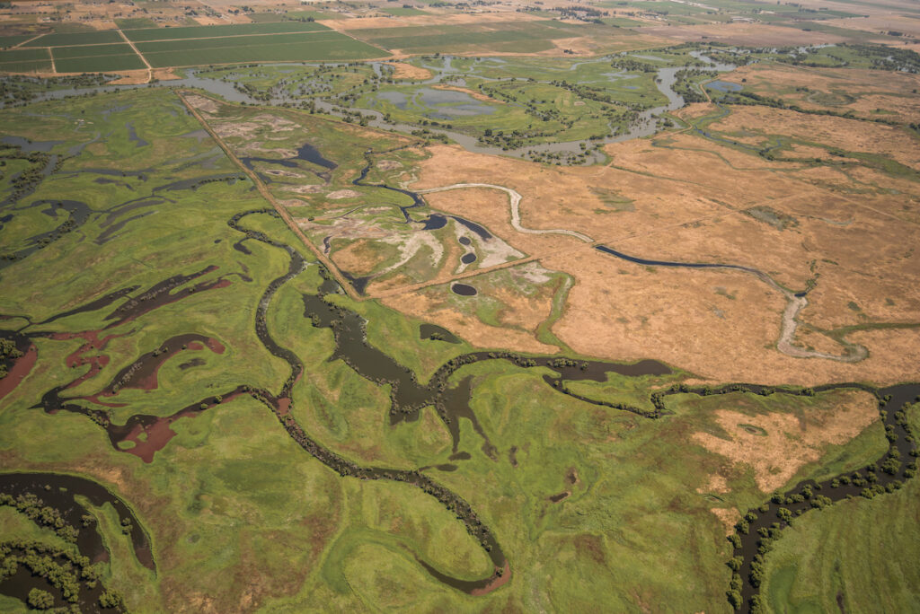 San Joaquin River | Daniel Nylen & LightHawk
