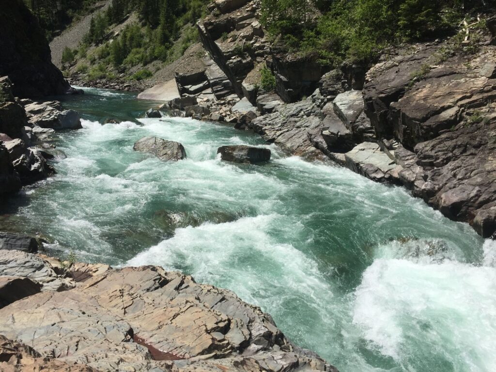 Flathead River, Montana | Lisa Ronald