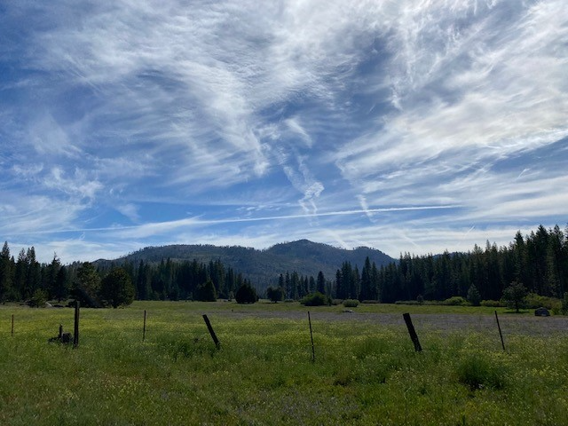 Ackerson Meadow, California | Madeleine Page