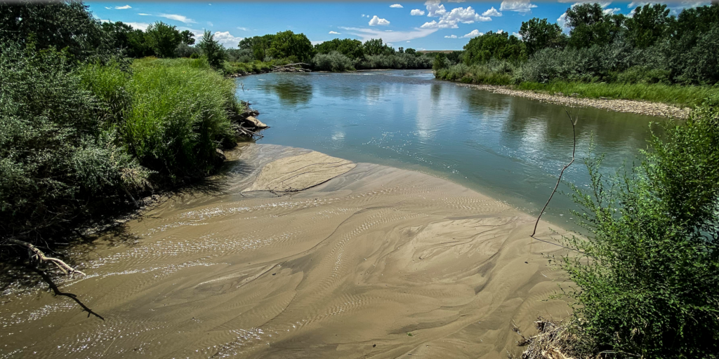Animas River, New Mexico | Jim O'Donnell