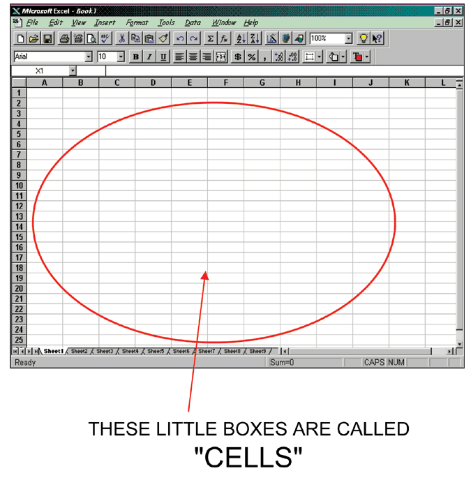This is what Microsoft Excel cells look like